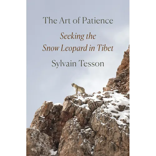 The Art of Patience: Seeking the Snow Leopard in Tibet - Hardcover