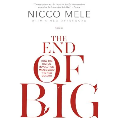 The End of Big: How the Digital Revolution Makes David the New Goliath - Paperback
