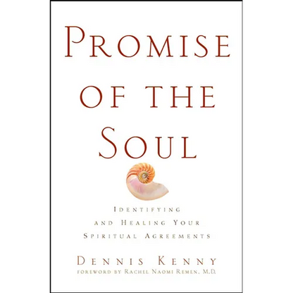 Promise of the Soul: Identifying and Healing Your Spiritual Agreements - Hardcover