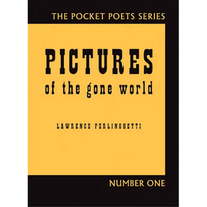 Pictures of the Gone World - Paperback