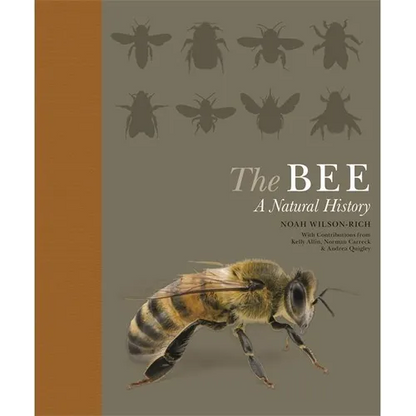 The Bee: A Natural History - Paperback