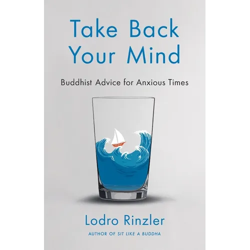 Take Back Your Mind: Buddhist Advice for Anxious Times: Buddhist Advice for Anxious Times - Paperback