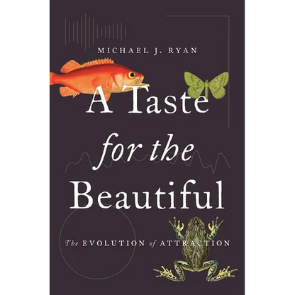 A Taste for the Beautiful: The Evolution of Attraction - Paperback