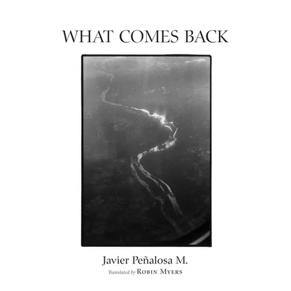 What Comes Back - Paperback