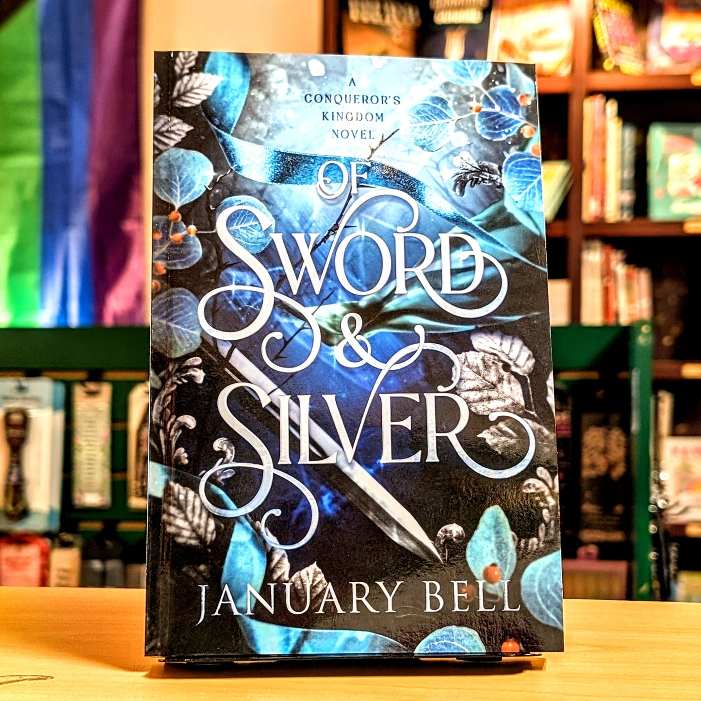 Of Sword & Silver (A Conqueror's Kingdom)