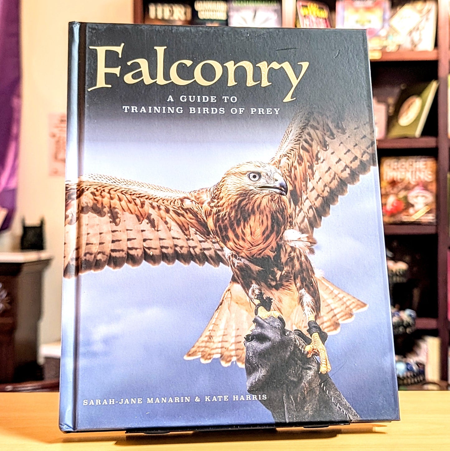 Falconry: A guide to training birds of prey