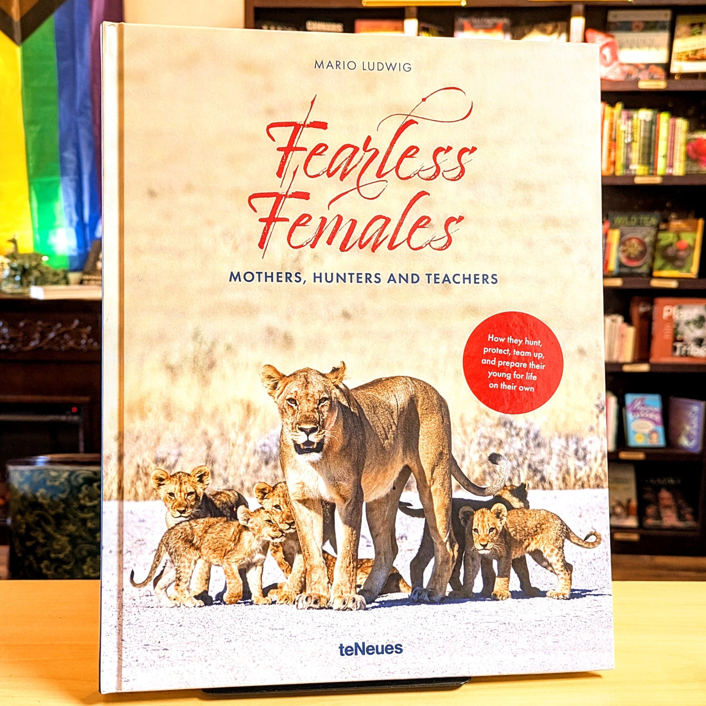 Fearless Females: Mothers, Hunters and Teachers