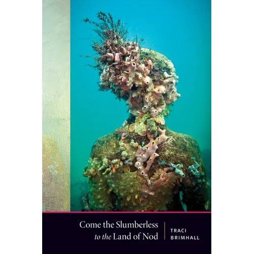 Come the Slumberless to the Land of Nod - Paperback