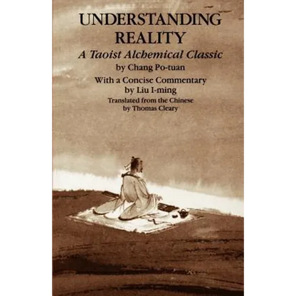 Understanding Reality - Paperback