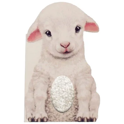 Furry Lamb - Board Book