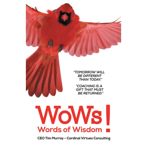 CEO Words of Wisdom - Paperback