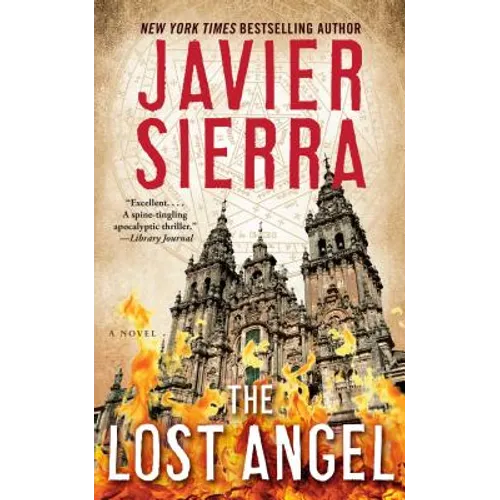 The Lost Angel - Paperback