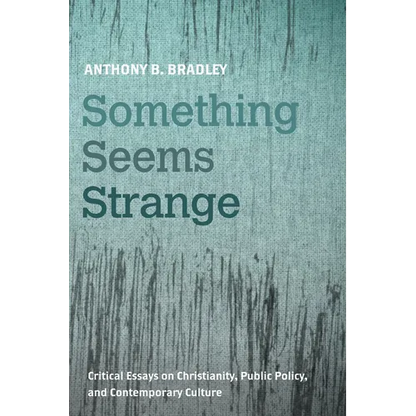 Something Seems Strange: Critical Essays on Christianity, Public Policy, and Contemporary Culture - Paperback