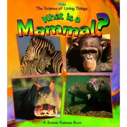 What Is a Mammal? - Paperback