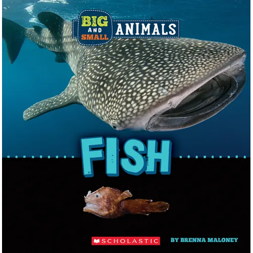 Fish (Wild World: Big and Small Animals) - Paperback