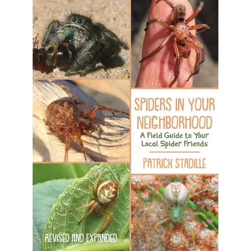 Spiders in Your Neighborhood: A Field Guide to Your Local Spider Friends, Revised and Expanded - Paperback