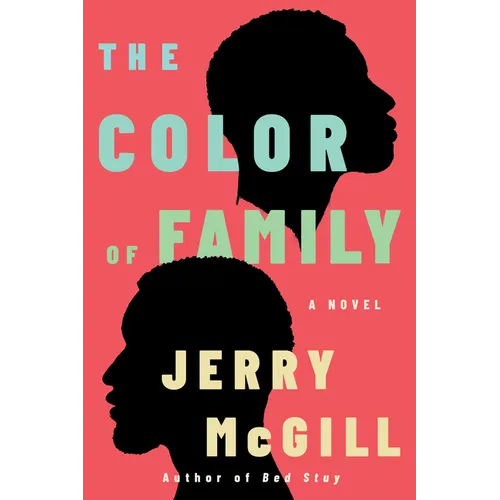 The Color of Family - Paperback