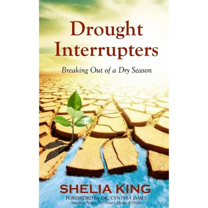 Drought Interrupters: Breaking Out of a Dry Place - Paperback