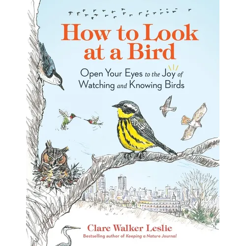 How to Look at a Bird: Open Your Eyes to the Joy of Watching and Knowing Birds - Paperback