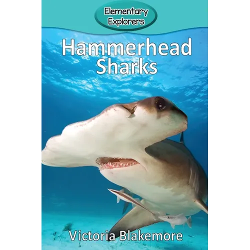 Hammerhead Sharks - Paperback