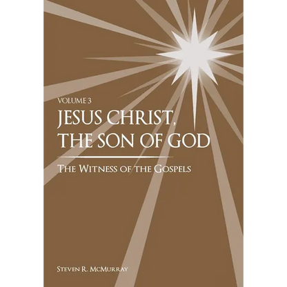 Jesus Christ, the Son of God, the Witness of the Gospels, Vol. 3 - Hardcover