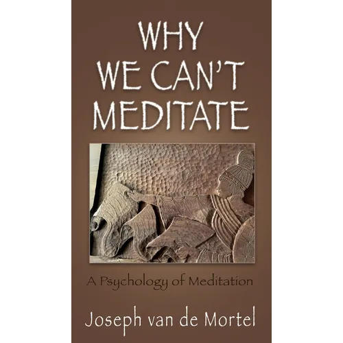 Why We Can't Meditate: A Psychology of Meditation - Hardcover