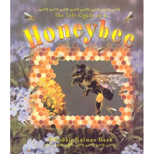 Honeybee - Paperback