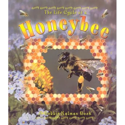 Honeybee - Paperback
