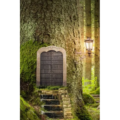 Forest Door, Discreet Internet Password Logbook, Large Print - Paperback