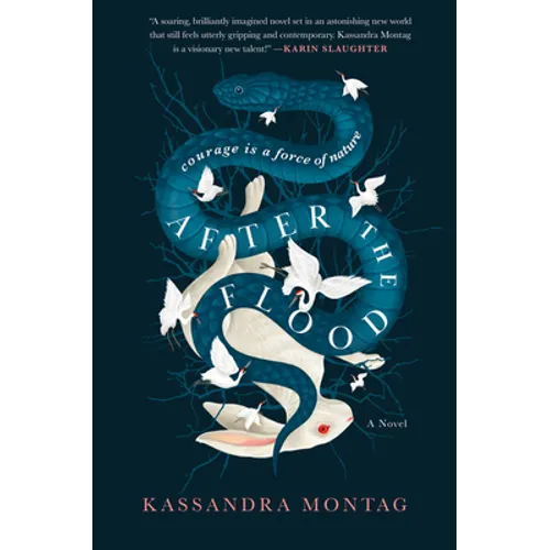 After the Flood - Paperback