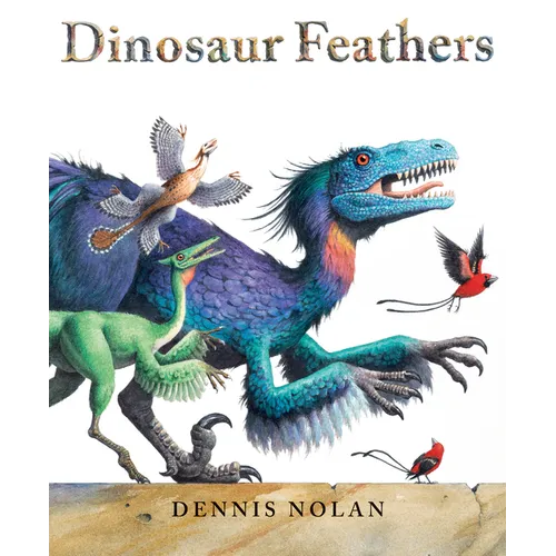 Dinosaur Feathers - Paperback