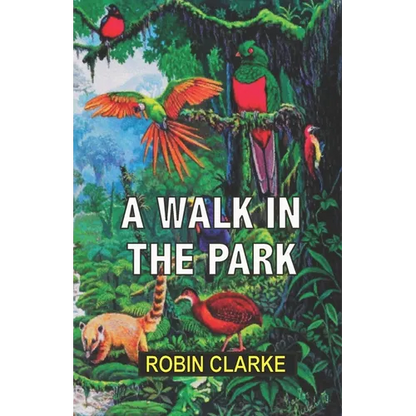 A Walk in the Park - Paperback