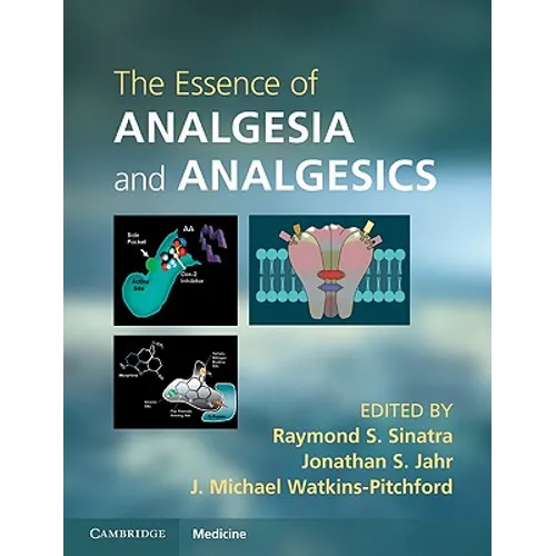 The Essence of Analgesia and Analgesics - Paperback