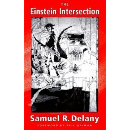 Einstein Intersection - Paperback
