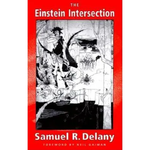 Einstein Intersection - Paperback