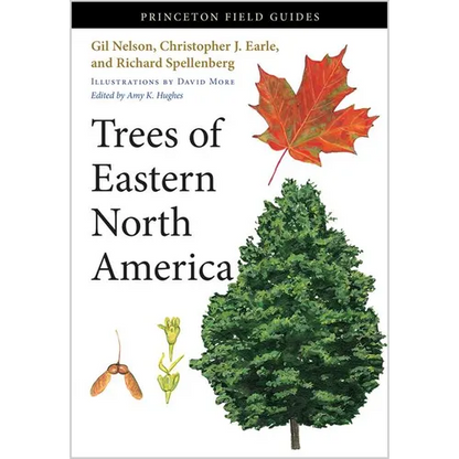 Trees of Eastern North America - Paperback