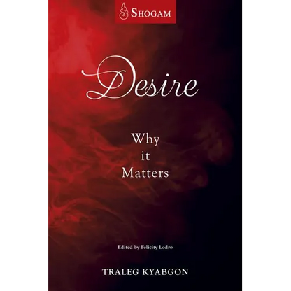 Desire: Why It Matters - Paperback