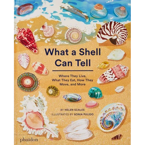 What a Shell Can Tell - Hardcover