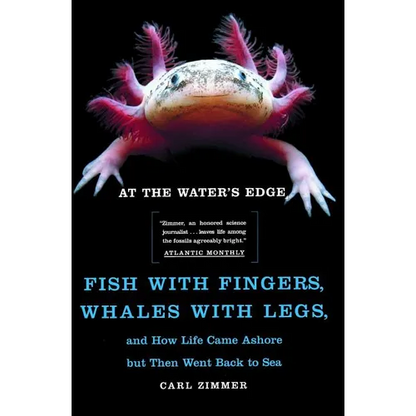 At the Water's Edge: Fish with Fingers, Whales with Legs, and How Life Came Ashore But Then Went Back to Sea - Paperback