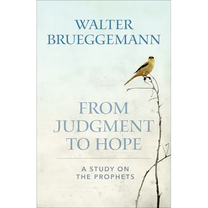 From Judgement to Hope - Paperback