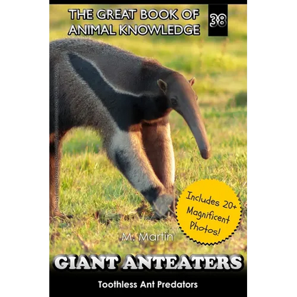 Giant Anteaters: Toothless Ant Predator - Paperback