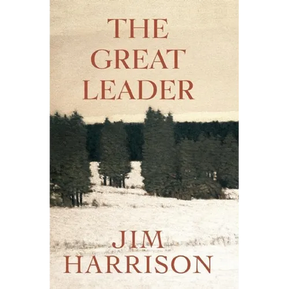 The Great Leader: A Faux Mystery - Paperback