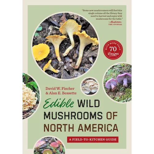 Edible Wild Mushrooms of North America: A Field-To-Kitchen Guide - Paperback