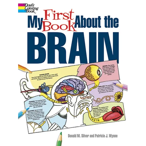 My First Book about the Brain - Paperback