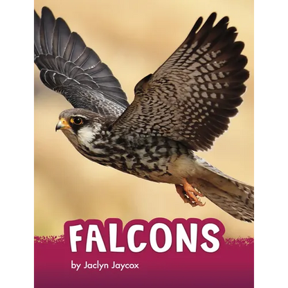 Falcons - Hardcover