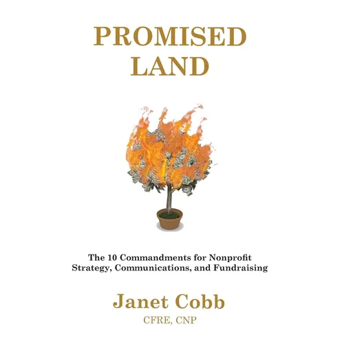 Promised Land: The 10 Commandments for Nonprofit Strategy, Communications, and Fundraising - Paperback