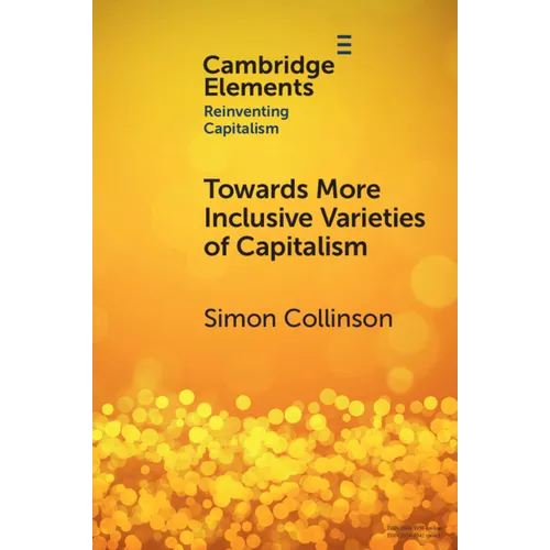 Towards More Inclusive Varieties of Capitalism - Paperback