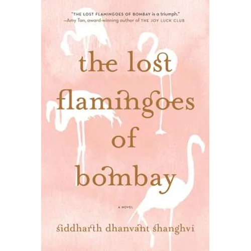 The Lost Flamingoes of Bombay - Paperback
