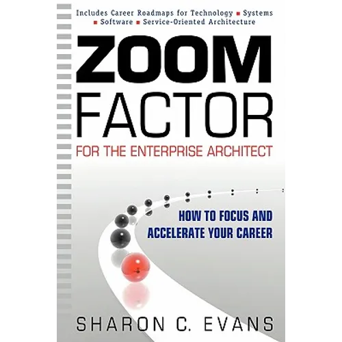 Zoom Factor for the Enterprise Architect: How to Focus and Accelerate Your Career - Paperback