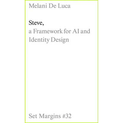 Steve: A Framework for AI and Identity Design - Paperback